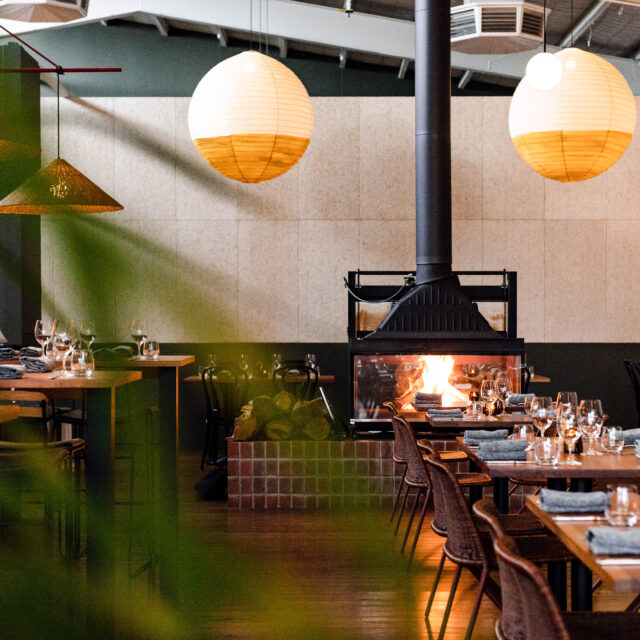 Cheminees Philippe Radiante 1200 DF