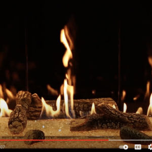 DaVinci Single Sided Gas Fireplace_Video_Wignells