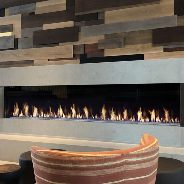 DaVinci Single Sided Gas Fireplace_Wignells..::