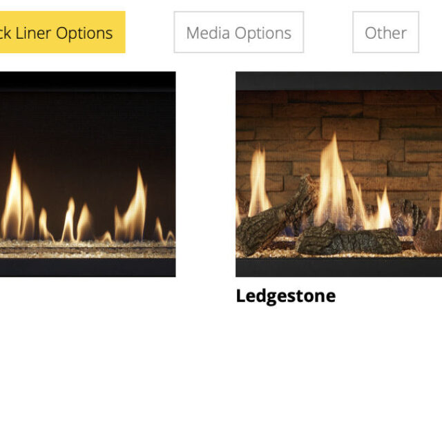 Lopi 3615 HO GS2 Gas Fireplace_FirebackLiners_Wignells