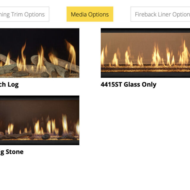 Lopi 4415 ST HO GS2 Fireplace_MediaOptionsWignells