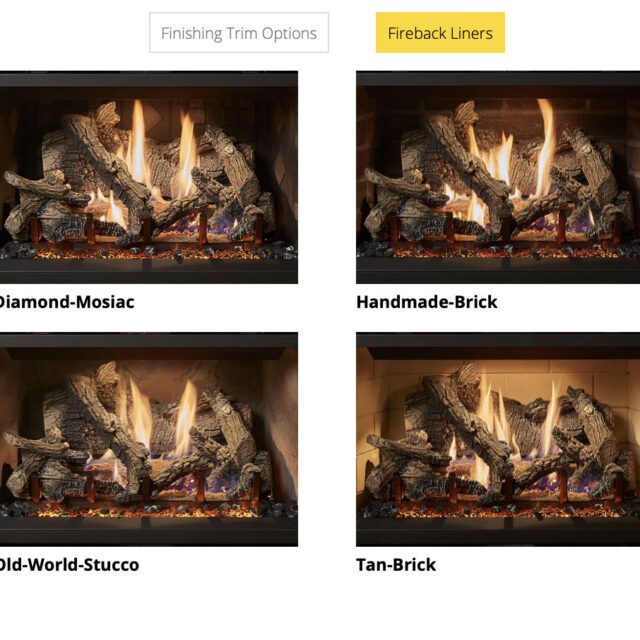 Lopi 564CF 25K GS2 Gas Fireplace_FirebackLiners_Wignells