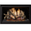 Lopi 564CF 25K GS2 Gas Fireplace_Wignells:..