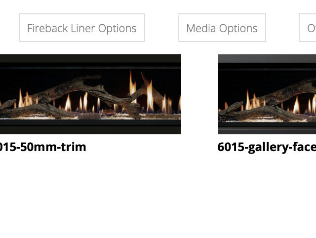 Lopi 6015 HO GS2 Gas Fireplace_FinishingTrimOptions_Wignells