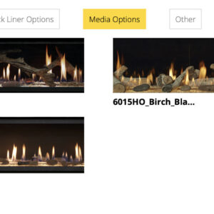 Lopi 6015 HO GS2 Gas Fireplace_MediaOptions_Wignells