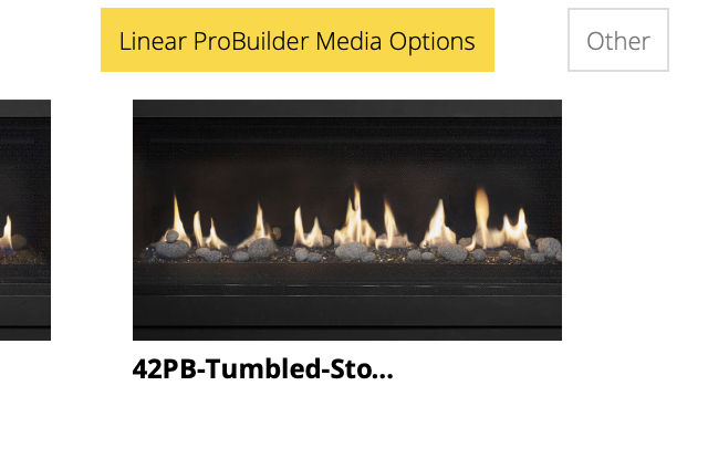 Lopi ProBuilder 42 Linear GSB_LinearProbuilderMediaOptions_Wignells