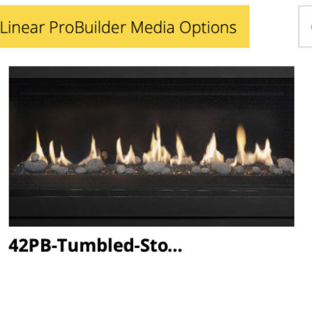 Lopi ProBuilder 42 Linear GSB_LinearProbuilderMediaOptions_Wignells