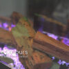 VisionLINE-View-Electric-Fireplace_Wignells