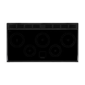 FALCON-CLASSIC-110CM-INDUCTION-RANGE-COOKER_Wignells