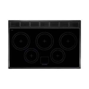 FALCON-CLASSIC-90CM-INDUCTION-RANGE-COOKER_Wignells