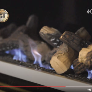 Cannon Latitude 1000 Gas Fireplace_Video_Wignells