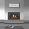 Heat&GloI30XInsertGas Fireplace_Wignells:.