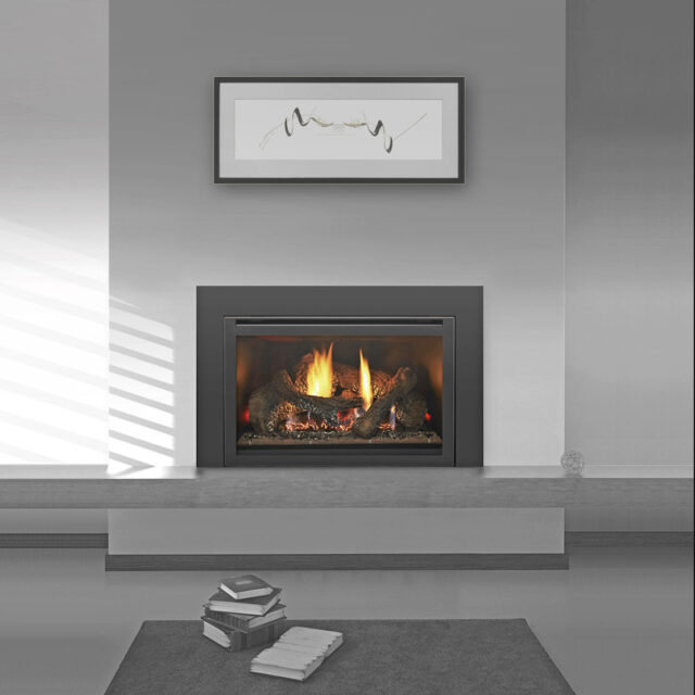 Heat&GloI30XInsertGas Fireplace_Wignells:.