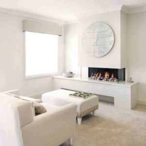Real Flame Pure Vision Series Gas Fireplace_Wignells..