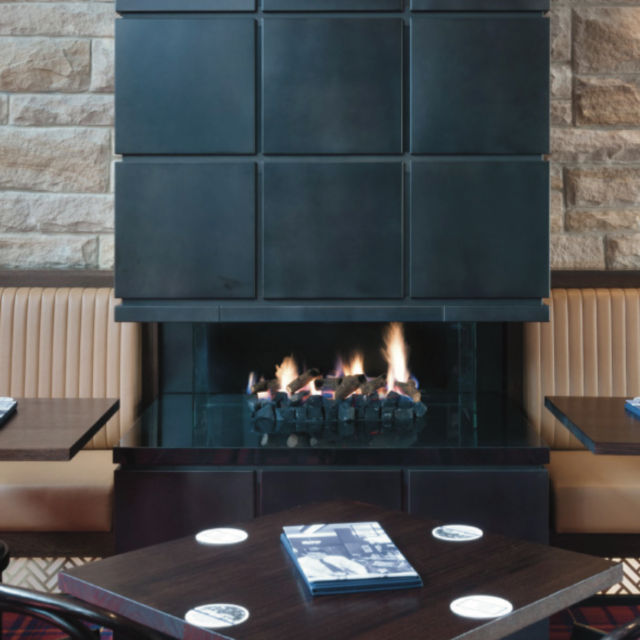 Real Flame Pure Vision Series Gas Fireplace_Wignells..
