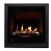 Rinnai 650 Gas Fireplace_Wignells.:.