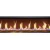 Rinnai LS 1500 Single Sided Gas Fireplace_Wignells2