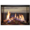 Rinnai LS 800 Double Sided Gas Fireplace_Wignells