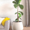 Blinde Planter 75_Wignells