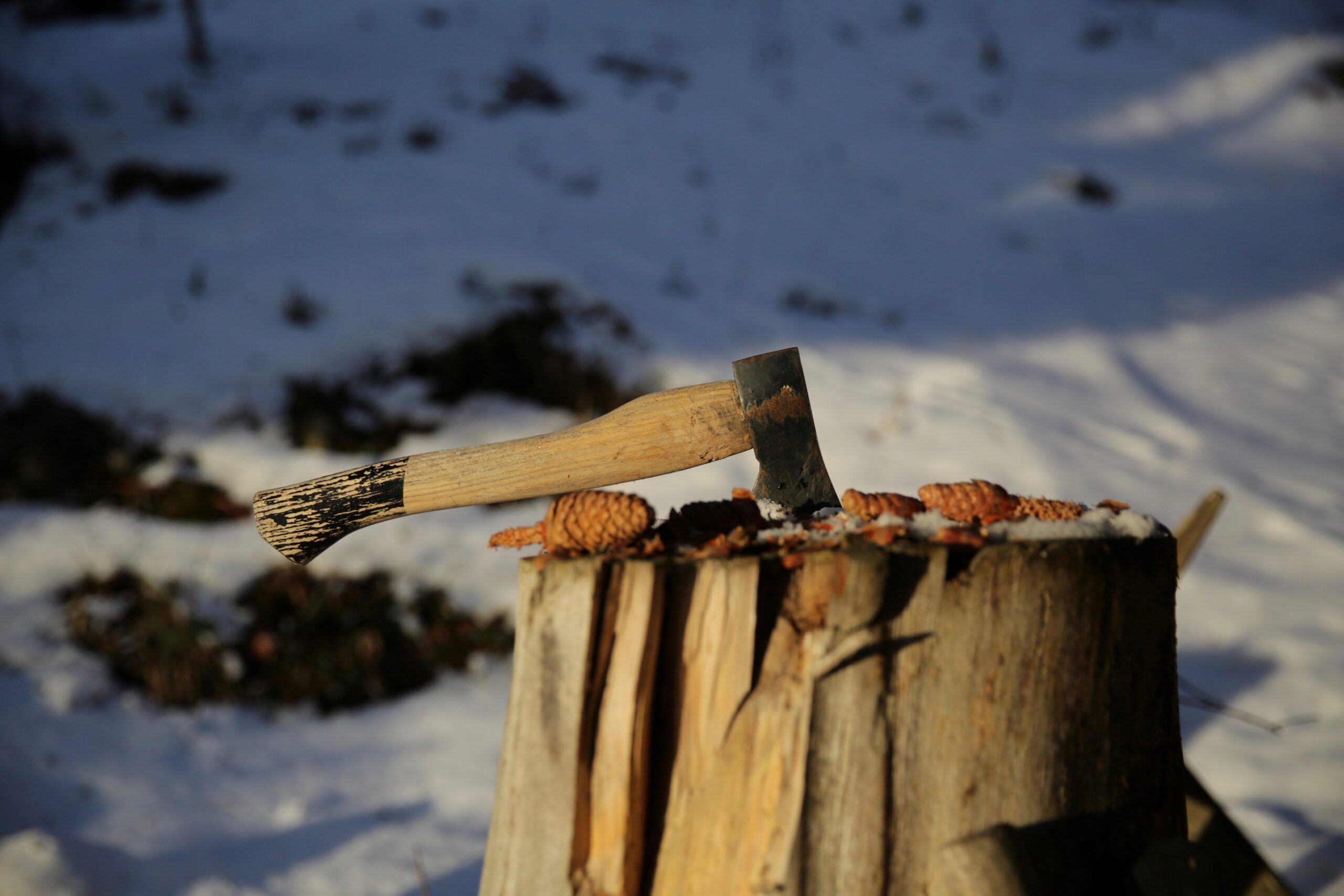 Wood Fireplace