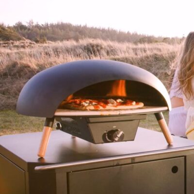 Le Feu Turtle Pizza Oven