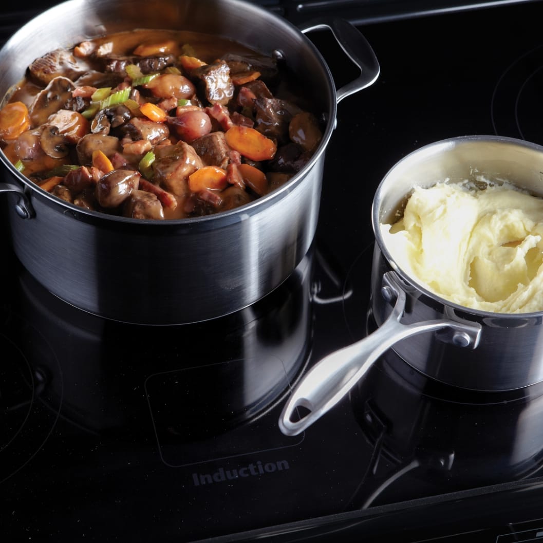 Professional-Induction-hob-with-stew-and-mashed-potato-original.jpg